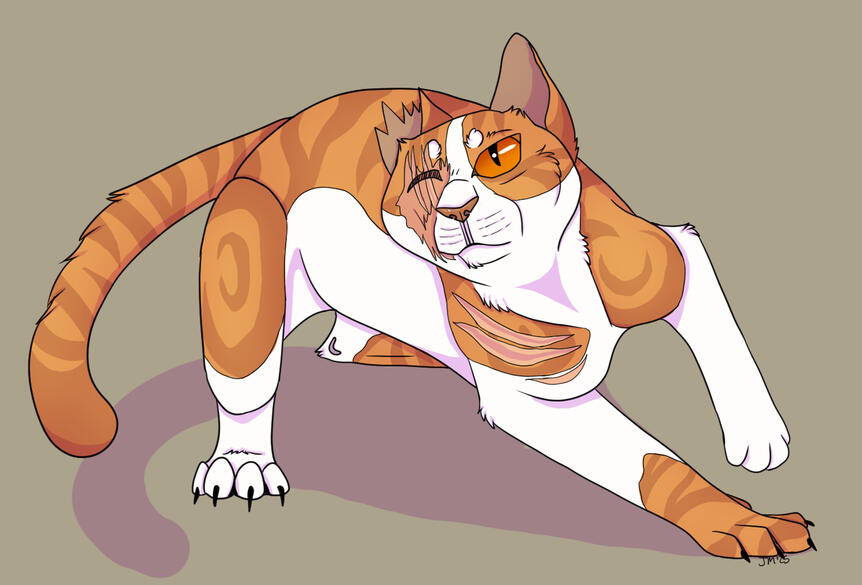 Untitled A fullbody of an orange tabby cat with scarred face and half of her body moving as if to pounce at something off camera.