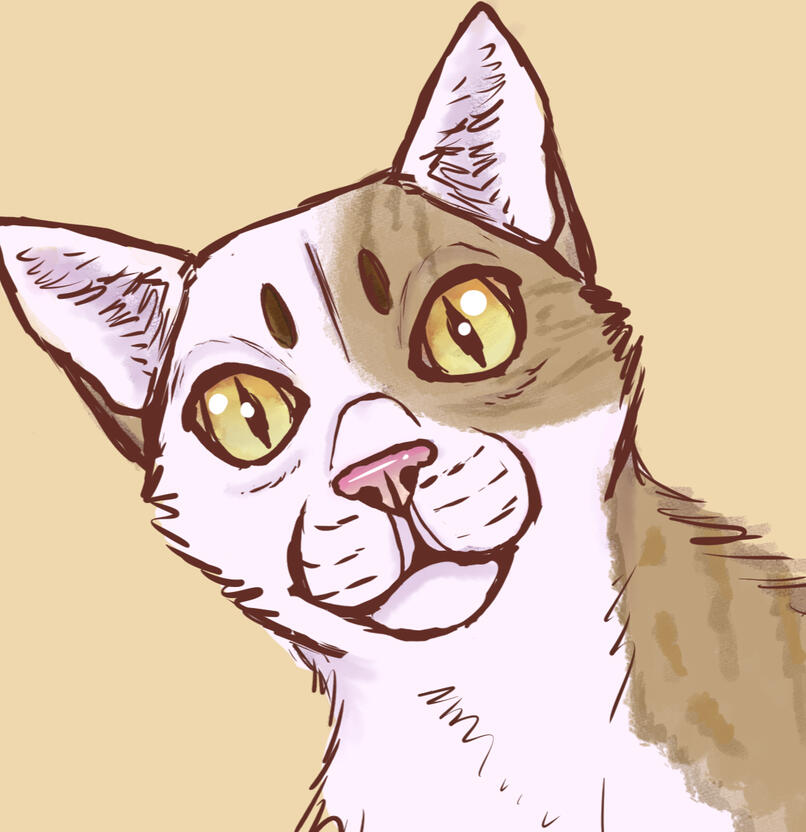 Untitled A tan and white tabby cat headshot done in a sketchy style