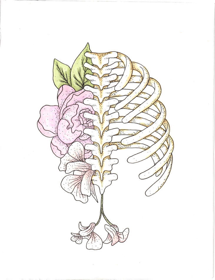 Untitled A portrait of a ribcage with flowers growing out of one side and the bottom